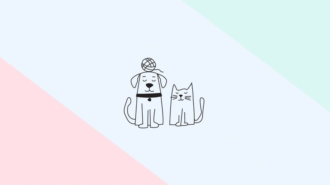 Bundle & Save | Eco Dog & Cat 