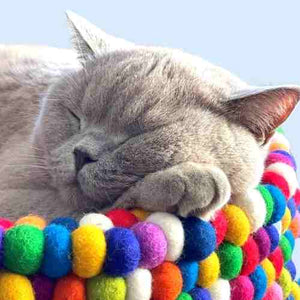 Handmade Rainbow Felt Ball Basket Cat Bed