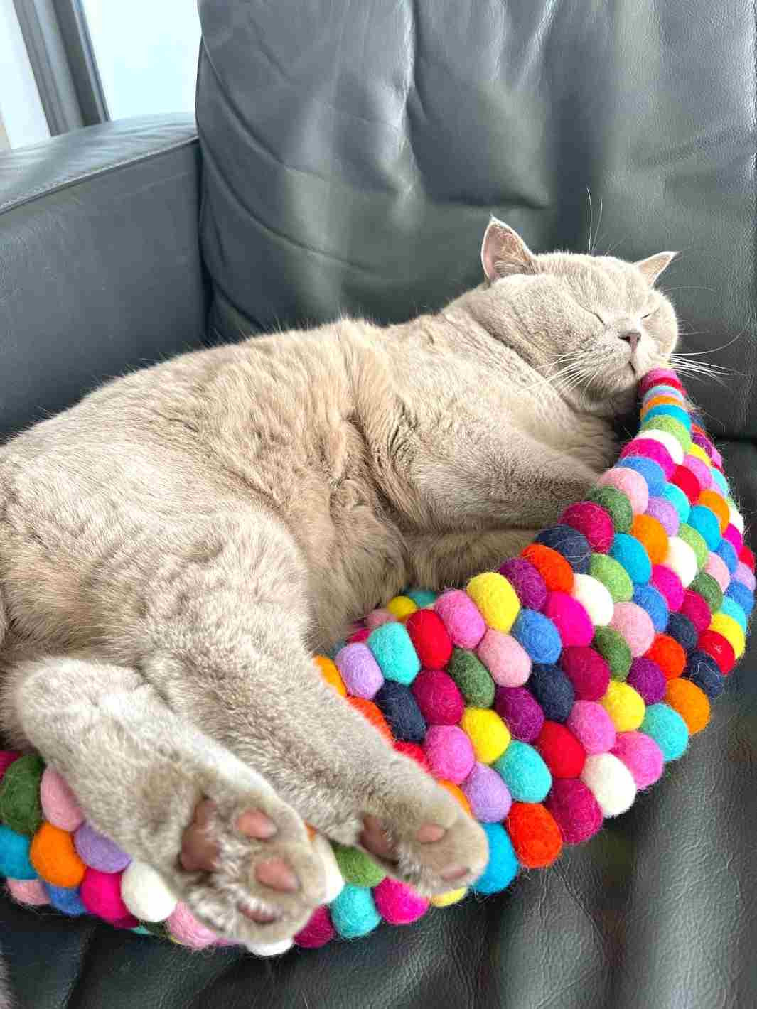 Cat Beds | Cat Baskets | Felt Ball Basket - 40 cm (Rainbow) | Eco Dog & Cat