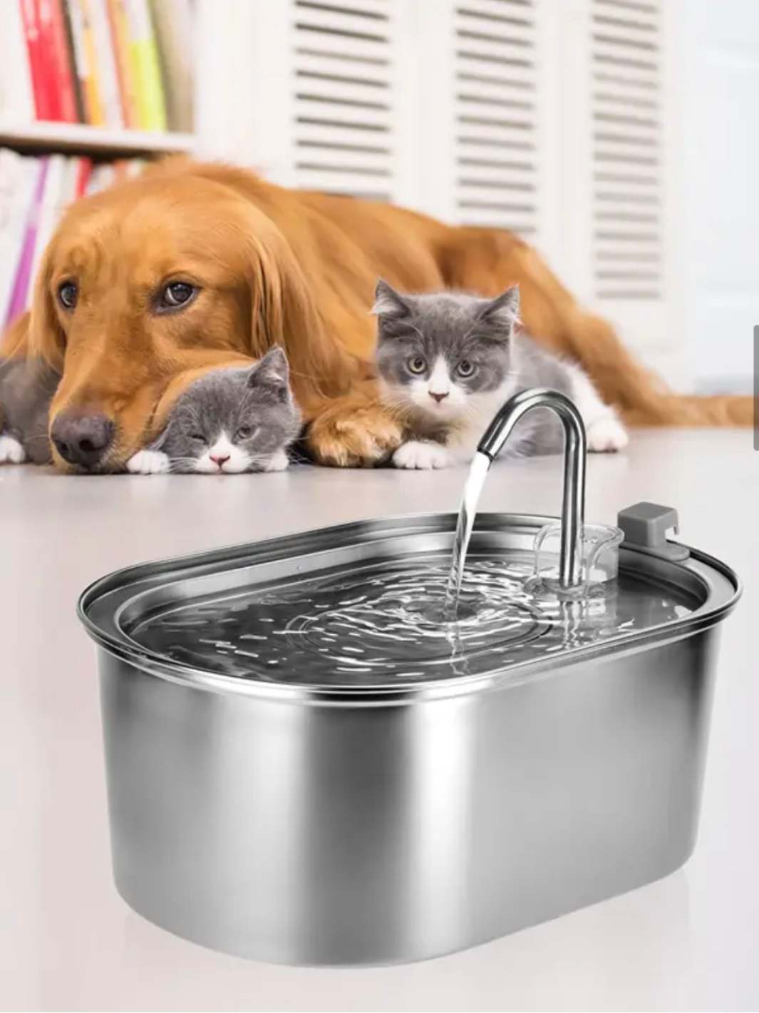 Stainless Steel Large Capacity Cat Water Fountain (3.2 L)