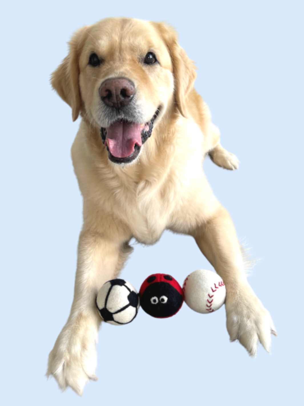 Eco Dog Balls (Set of 3) - 7 cm