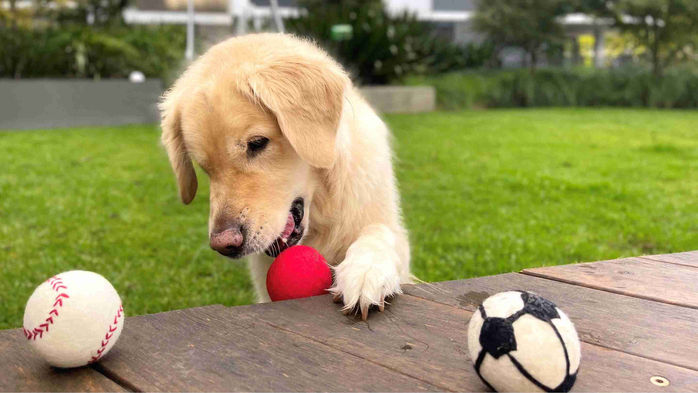 Eco Dog Balls | Eco Dog & Cat | Eco-friendly dog toys