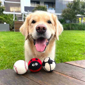 Eco Dog Balls | Eco Dog & Cat | Eco-friendly dog toys  