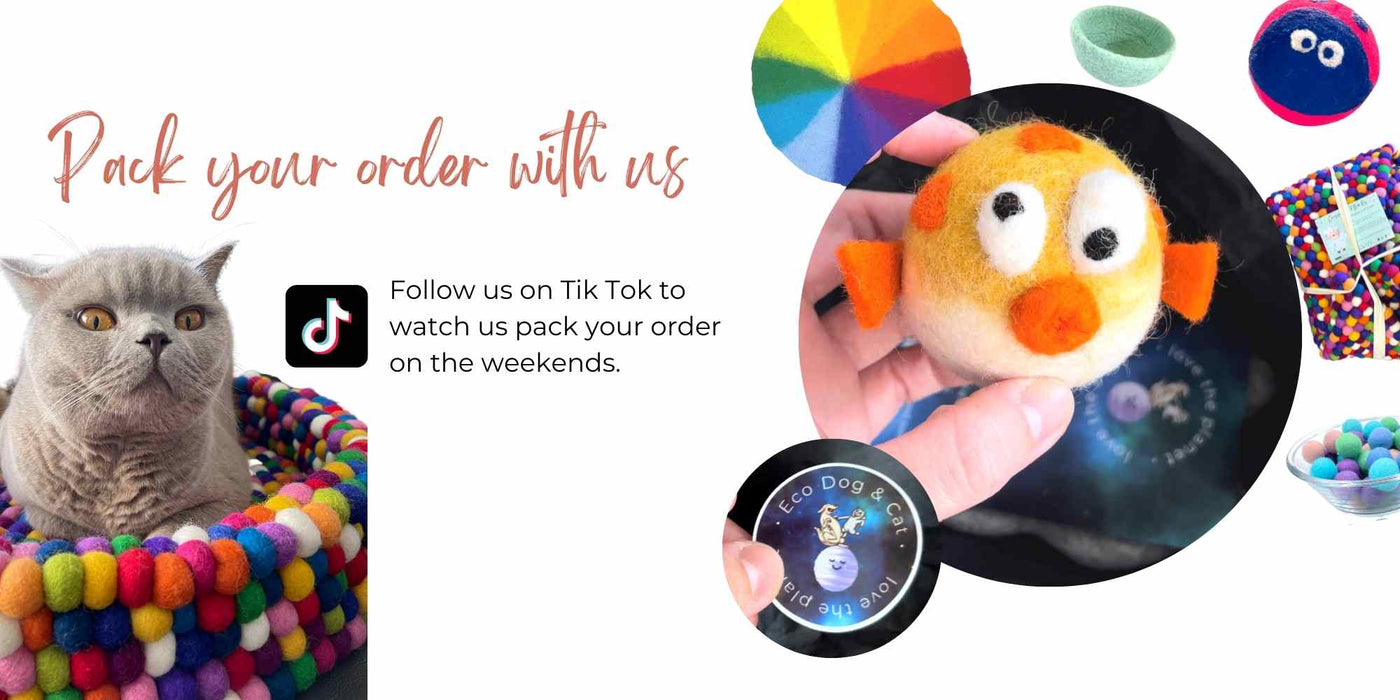Follow Eco Dog & Cat on Tik Tok to watch us pack your order