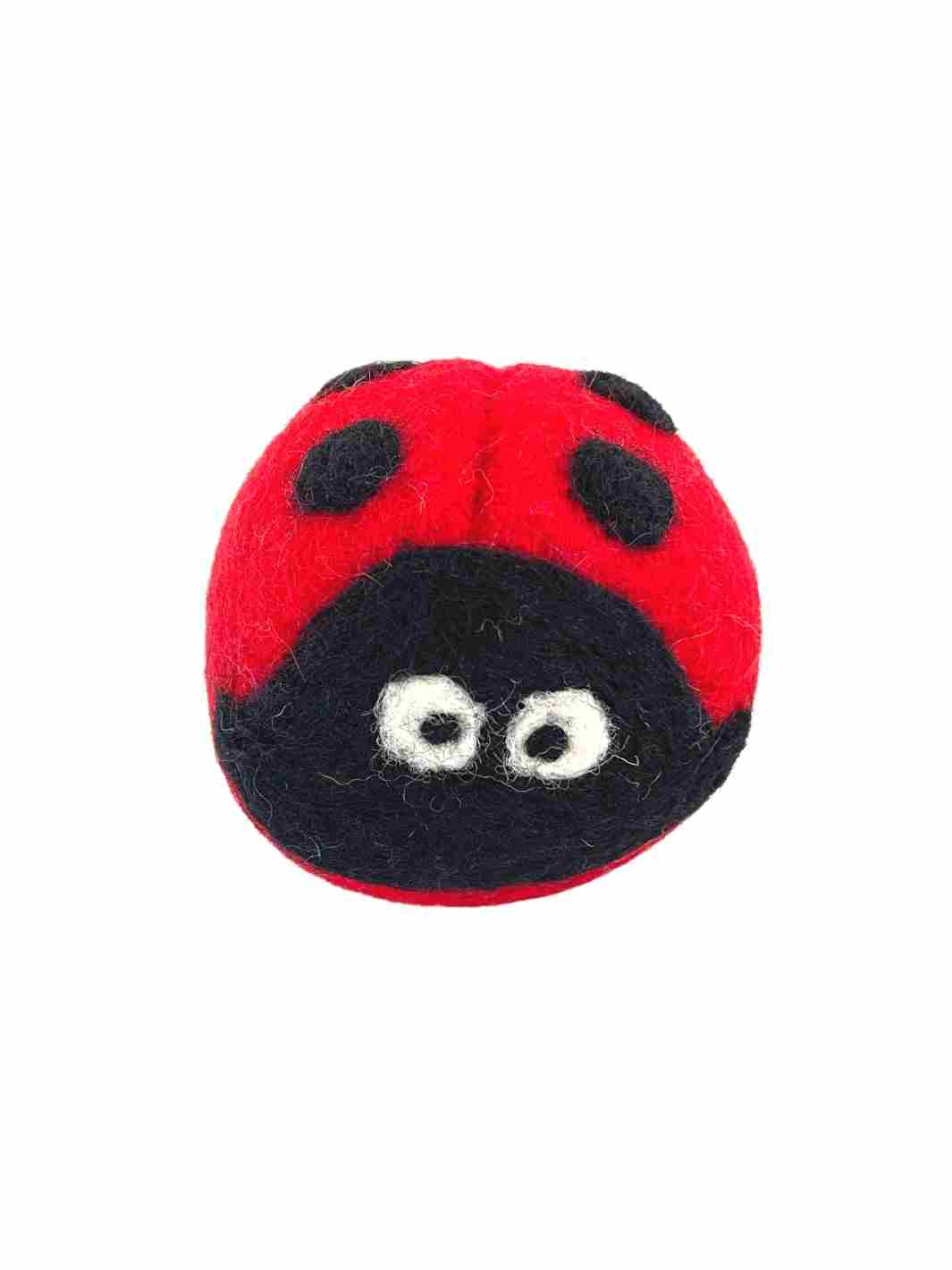 Jumbo Eco Dog Ball (Ladybug) - 10 cm