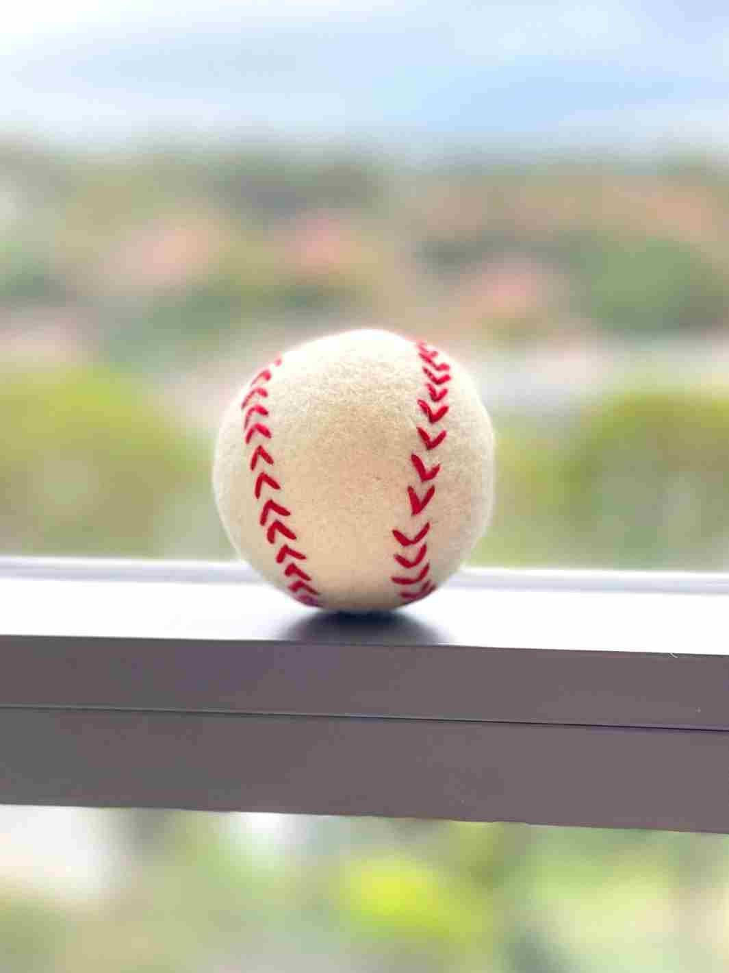 Eco Dog Ball (Baseball) | Eco Dog Ball | Dog Toys | Dog Balls | Baseball | Eco Dog & Cat