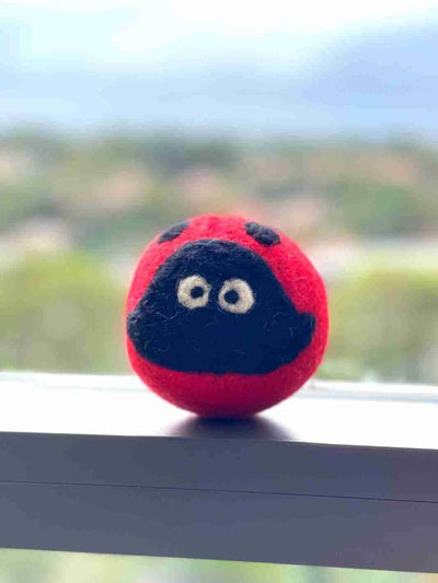 Eco Dog Ball (Ladybug) | Eco Dog Ball | Dog Toys | Dog Balls | Beetle | 🐞 | Eco Dog & Cat