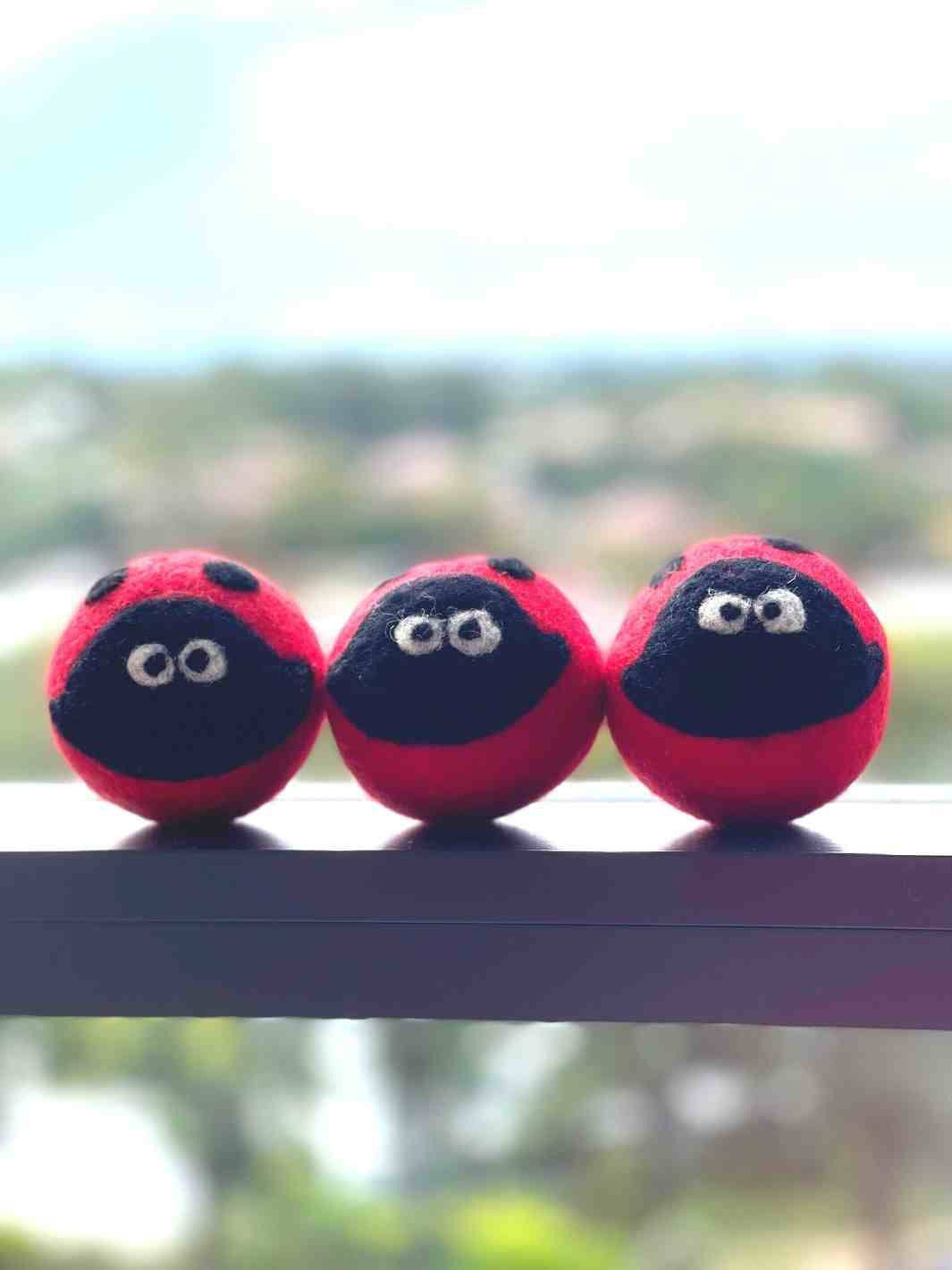 Eco Dog Ball (Ladybug) | Eco Dog Ball | Dog Toys | Dog Balls | Beetle | 🐞 | Eco Dog & Cat