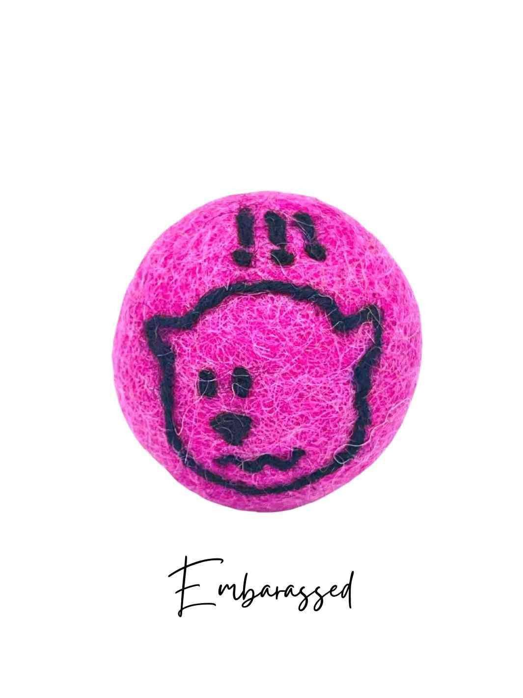 Eco Cat Toys | Cat Ball Toys | Eco Cat Ball Toys - Meow Diary (Set of 10) | Handmade Cat Toys | Embarrassed Cat | Eco Dog & Cat 