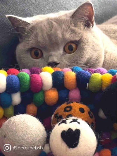 Eco Cat Toys | Cat Ball Toys | Eco Cat Ball Toys - Safari Mates (Set of 6) | Jungle Mates | Handmade Cat Toys | Eco Dog & Cat 