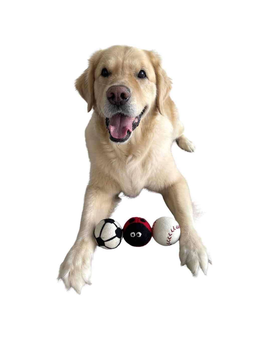 Eco Dog Ball (Baseball) | Eco Dog Ball | Dog Toys | Dog Balls | Baseball | Eco Dog & Cat