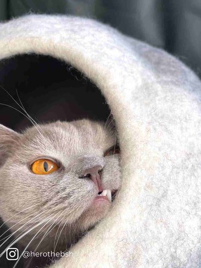 Cat Bed | Cat Cave (Grey) | Felt Cat Cave | Cat House | Cat Cocoon | Eco Dog & Cat