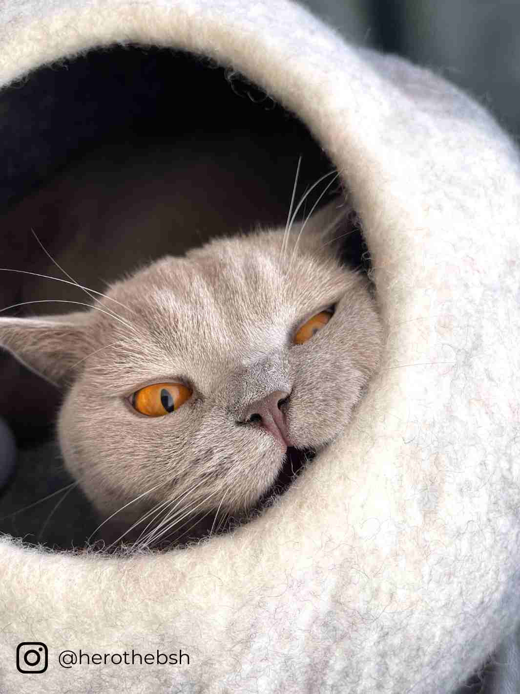 Cat Bed | Cat Cave (Grey) | Felt Cat Cave | Cat House | Cat Cocoon | Eco Dog & Cat