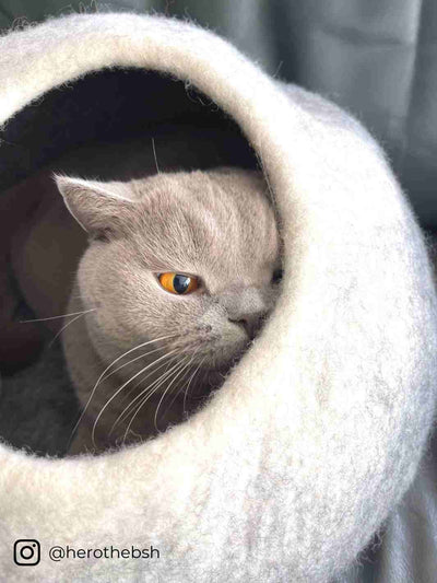 Cat Bed | Cat Cave (Grey) | Felt Cat Cave | Cat House | Cat Cocoon | Eco Dog & Cat
