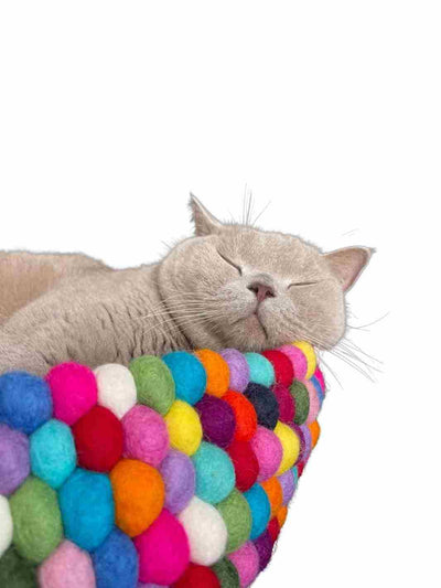 Felt Ball Basket - 40 cm (Rainbow)