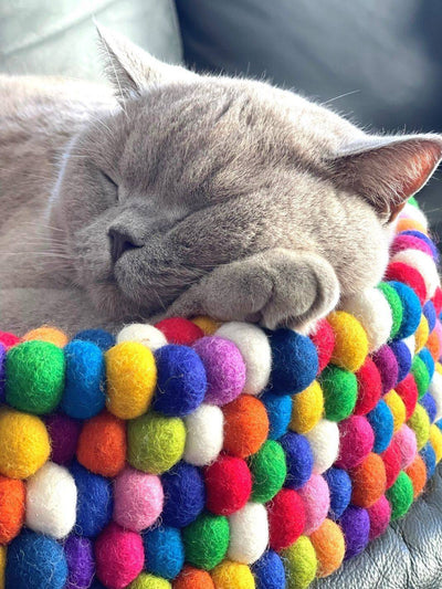 Cat Beds | Big Cat Baskets | Felt Ball Basket - 50 cm (Rainbow) | Eco Dog & Cat