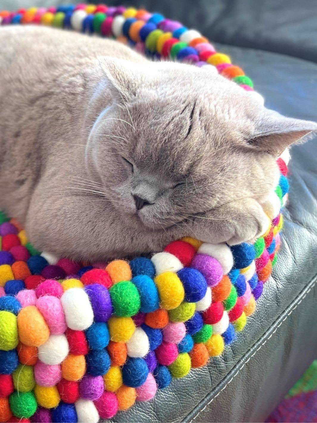 Cat Beds | Big Cat Baskets | Felt Ball Basket - 50 cm (Rainbow) | Eco Dog & Cat